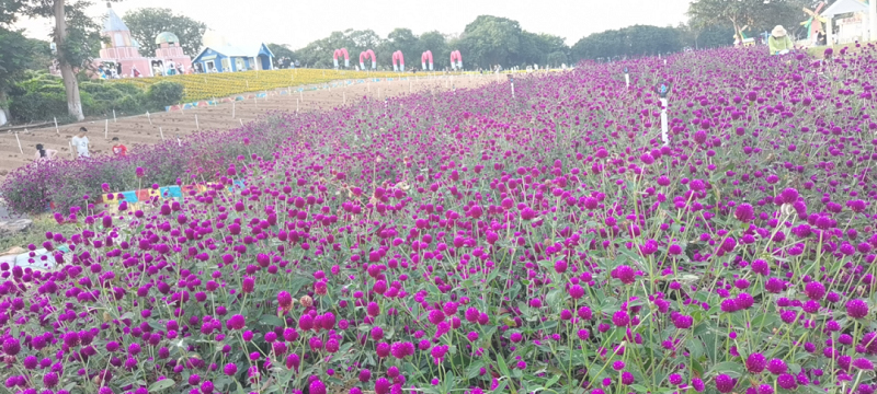 2020年云里物里制造中心團建活動圓滿結(jié)束